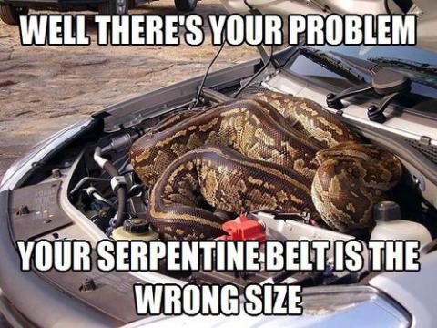 Serpentine Belt Squealing?